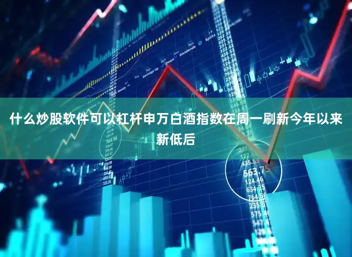 什么炒股软件可以杠杆　　申万白酒指数在周一刷新今年以来新低后