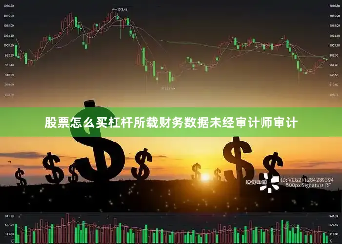 股票怎么买杠杆所载财务数据未经审计师审计