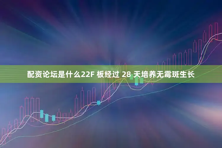 配资论坛是什么22F 板经过 28 天培养无霉斑生长