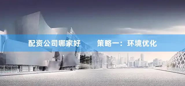 配资公司哪家好        策略一：环境优化