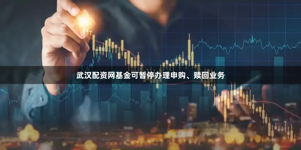 武汉配资网基金可暂停办理申购、赎回业务